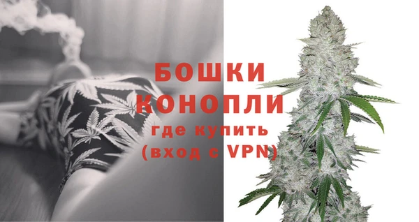 прущая мука Вяземский