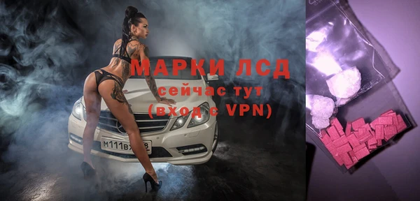 прущие грибы Сатка