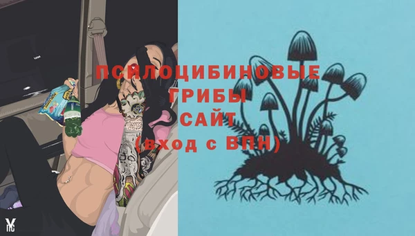 прущая мука Вяземский