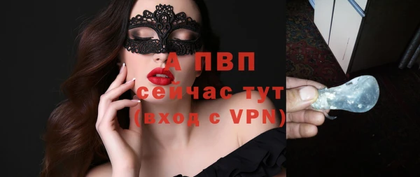 прущая мука Вяземский