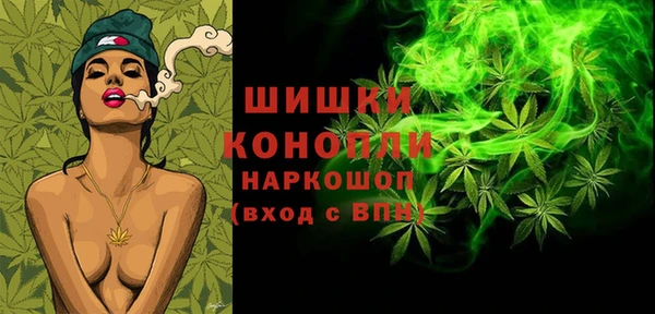 spice Вязьма