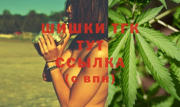 spice Вязьма